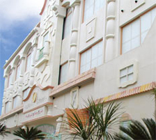 ウッドブリースモール (外部モールディング)