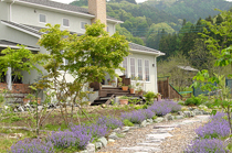 ハウスアンドガーデン T邸