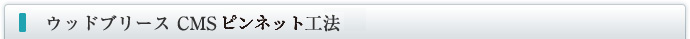 ウッドブリースCMSピンネット工法